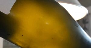 prosecco colfondo torbido