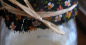 fare il lievito col colfondo bele casel