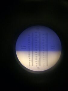 analisi acidità marzemina