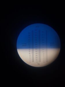 analisi acidità rabbiosa