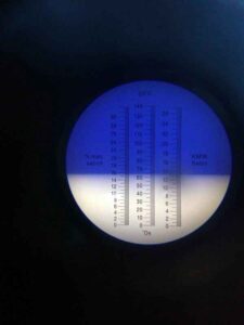 analisi pre vendemmia