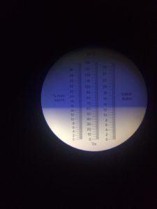 analisi acidità Cornuda